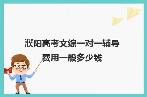 濮阳高考文综一对一辅导费用一般多少钱(高考报考机构怎么收费)