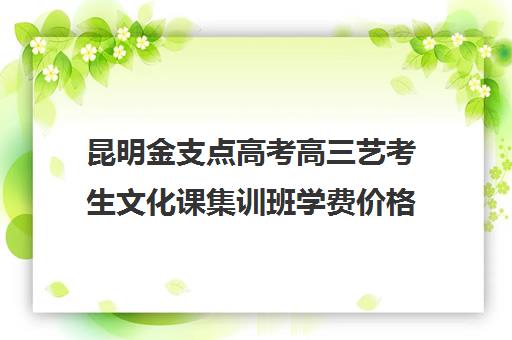 昆明金支点高考高三艺考生文化课集训班学费价格表(艺考集训班)