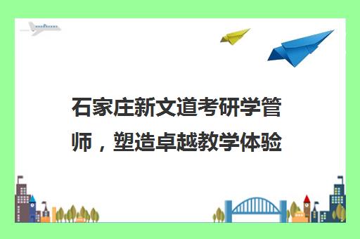 石家庄新文道考研学管师，塑造卓越教学体验