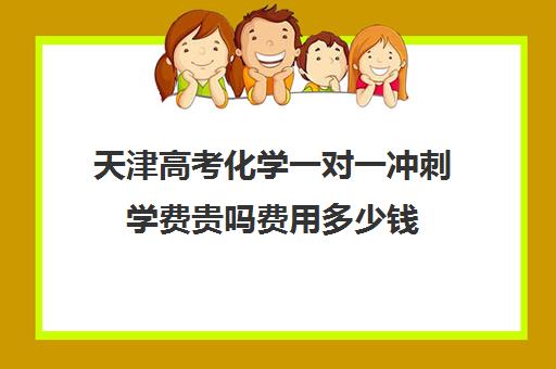 天津高考化学一对一冲刺学费贵吗费用多少钱(天津高中一对一补课多少钱一小时)