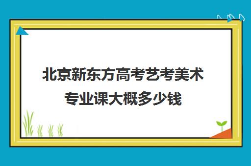 北京新东方高考艺考美术专业课大概多少钱（高考美术集训班多少钱）