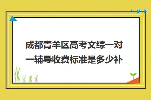 成都青羊区高考文综一对一辅导收费标准是多少补课多少钱一小时(一对一补初中文综价格