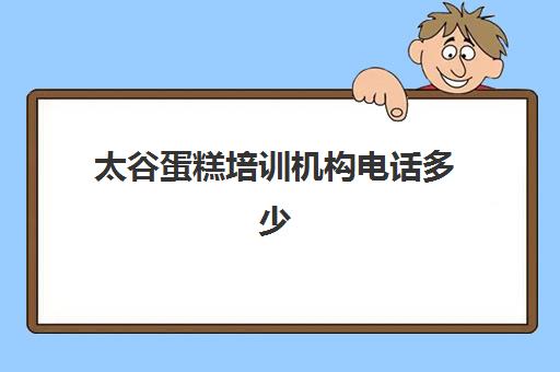 太谷蛋糕培训机构电话多少(阳谷蛋糕课程咨询芝士蛋糕教学)