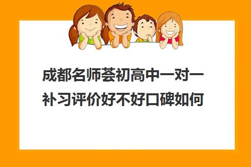 成都名师荟初高中一对一补习评价好不好口碑如何