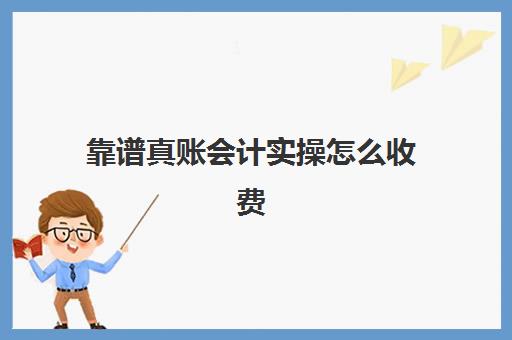 靠谱真账会计实操怎么收费(内账会计每天工作流程)