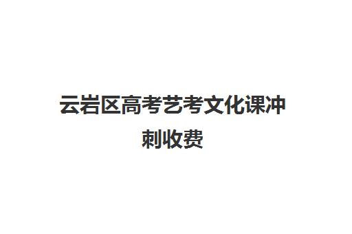 云岩区高考艺考文化课冲刺收费(中国传媒大学艺考吗)