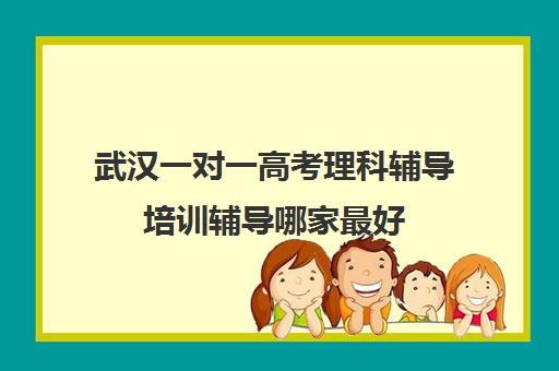 武汉一对一高考理科辅导培训辅导哪家最好(小学一对一辅导价格)