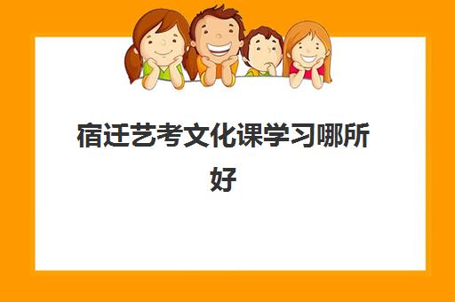 宿迁艺考文化课学习哪所好