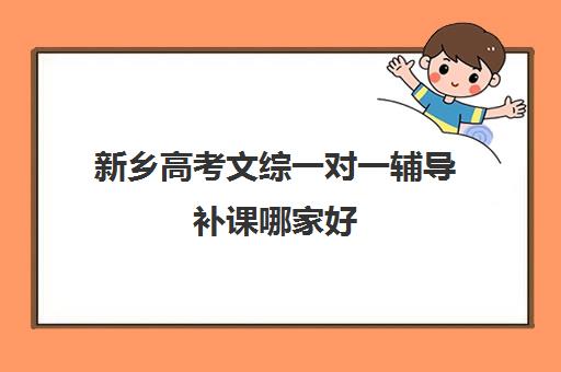 新乡高考文综一对一辅导补课哪家好(高考线上辅导机构有哪些比较好)