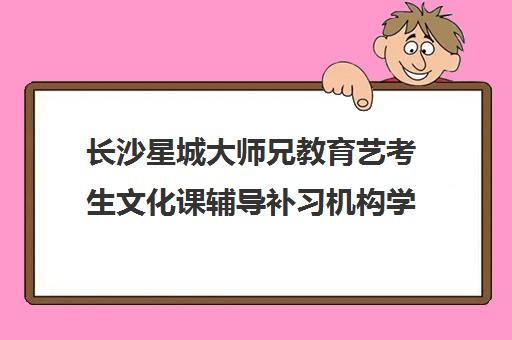 长沙星城大师兄教育艺考生文化课辅导补习机构学费贵吗