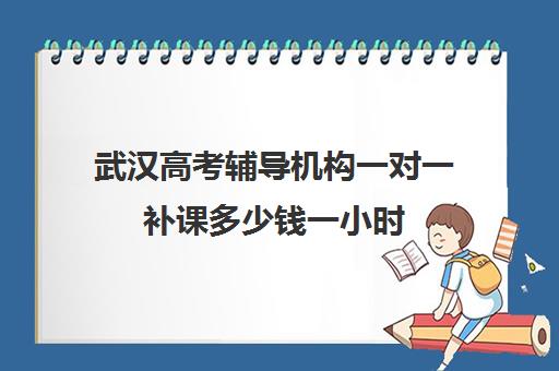 武汉高考辅导机构一对一补课多少钱一小时(武汉一对一补课价格)