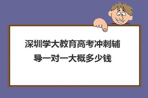 深圳学大教育高考冲刺辅导一对一大概多少钱(深圳提升学历哪个机构最好)