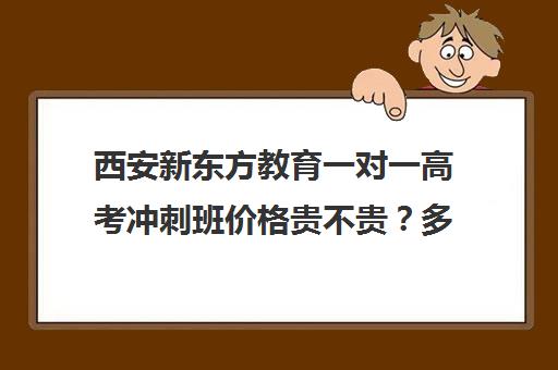 西安新东方教育一对一高考冲刺班价格贵不贵？多少钱一年（西安高考冲刺班哪个学校好）