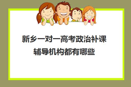 新乡一对一高考政治补课辅导机构都有哪些(新乡市最出名辅导班)