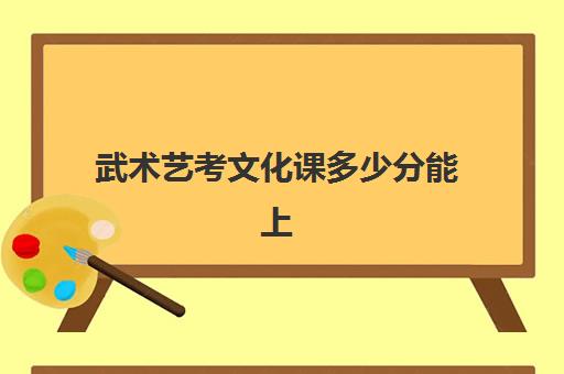 武术艺考文化课多少分能上(武术表演可以考哪些学校)