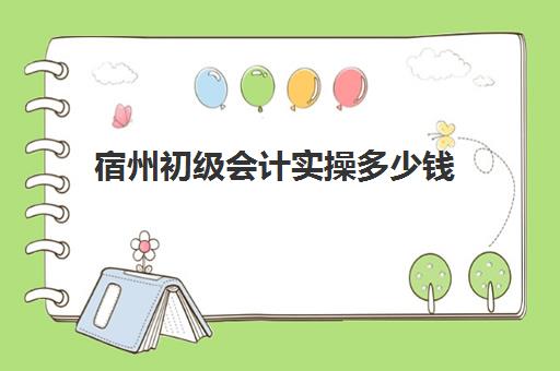 宿州初级会计实操多少钱(管理会计师初级有用吗)