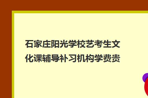 石家庄阳光学校艺考生文化课辅导补习机构学费贵吗