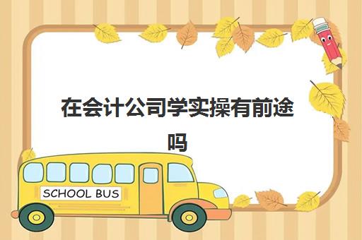 在会计公司学实操有前途吗(去会计事务所当学徒,多久能学会)