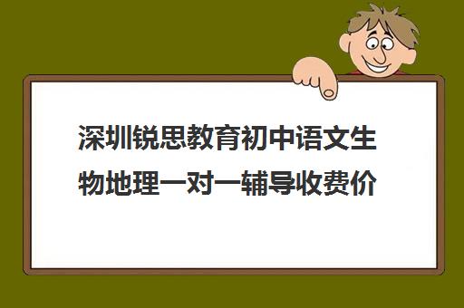 深圳锐思教育初中语文生物地理一对一辅导收费价格多少钱(深圳补课机构有哪些)