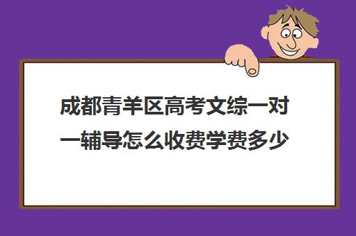 成都青羊区高考文综一对一辅导怎么收费学费多少钱(一对一辅导收费)