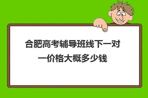 合肥高考辅导班线下一对一价格大概多少钱(合肥初中辅导班一对一收费价目表)