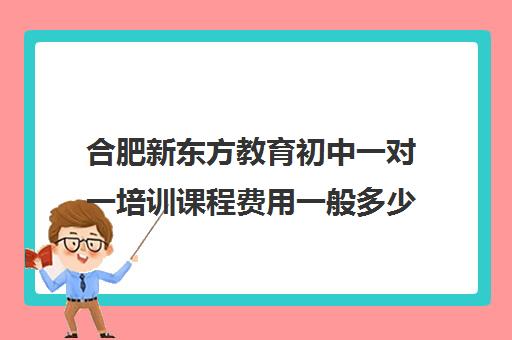 合肥新东方教育初中一对一培训课程费用一般多少钱（新东方初三一对一价格表）