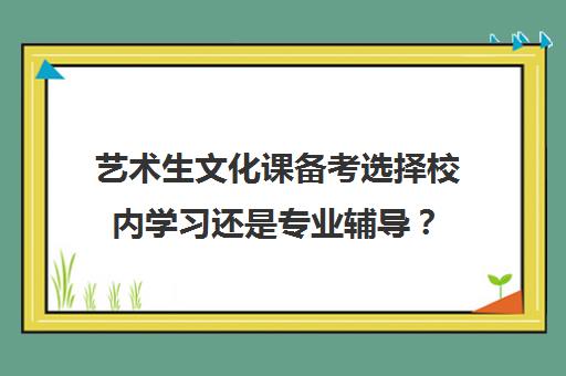 艺术生文化课备考选择校内学习还是专业辅导？