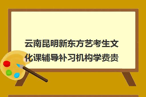 云南昆明新东方艺考生文化课辅导补习机构学费贵吗