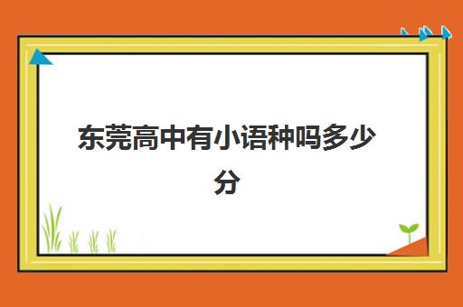 东莞高中有小语种吗多少分(东莞外国语学校高中录取分数线)