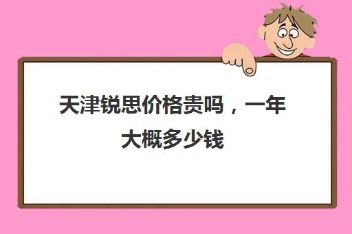 天津锐思价格贵吗，一年大概多少钱(上海环旭怎么样)