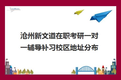 沧州新文道在职考研一对一辅导补习校区地址分布