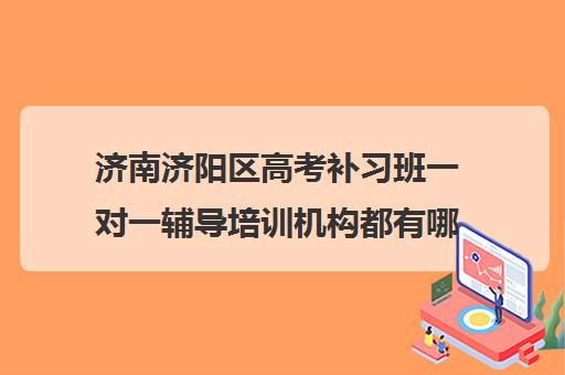 济南济阳区高考补习班一对一辅导培训机构都有哪些