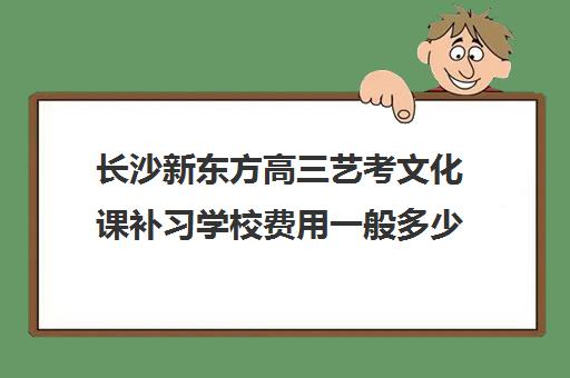 长沙新东方高三艺考文化课补习学校费用一般多少钱