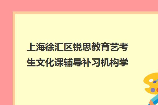 上海徐汇区锐思教育艺考生文化课辅导补习机构学费多少钱