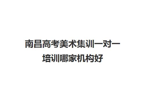 南昌高考美术集训一对一培训哪家机构好(南昌艺考文化培训哪家好)