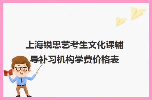 上海锐思艺考生文化课辅导补习机构学费价格表