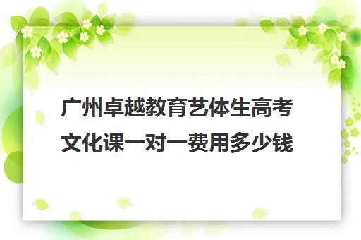 广州卓越教育艺体生高考文化课一对一费用多少钱(广州艺考培训哪家最好)