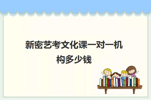 新密艺考文化课一对一机构多少钱(河南最好的艺考培训学校)