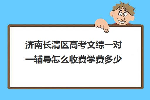 济南长清区高考文综一对一辅导怎么收费学费多少钱(一对一补初中文综价格)