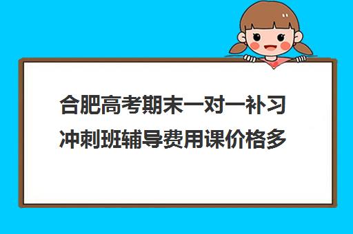 合肥高考期末一对一补习冲刺班辅导费用课价格多少钱