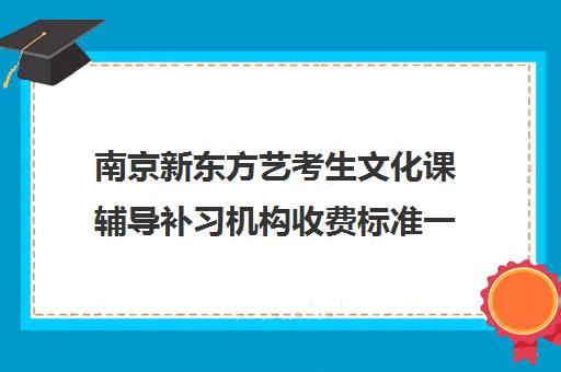 南京新东方艺考生文化课辅导补习机构收费标准一览表