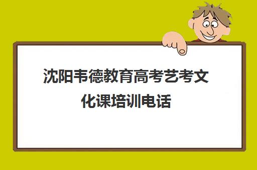 沈阳韦德教育高考艺考文化课培训电话（沈阳艺考生文化课冲刺机构）