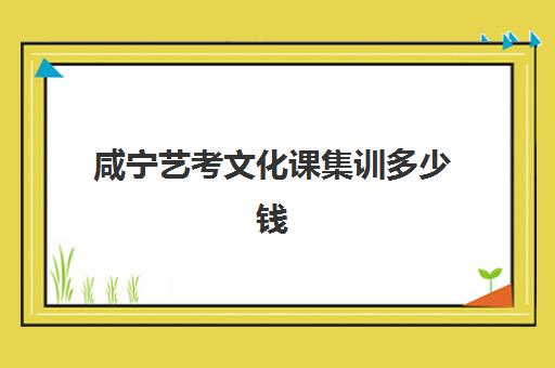 咸宁艺考文化课集训多少钱(十堰艺考培训学校)