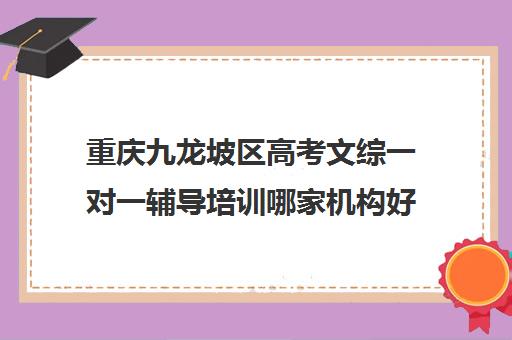 重庆九龙坡区高考文综一对一辅导培训哪家机构好(重庆补课机构哪个好)