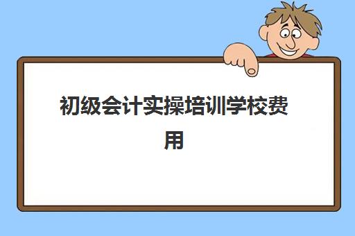 初级会计实操培训学校费用(初级会计培训班费用大概是多少?)