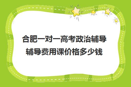 合肥一对一高考政治辅导辅导费用课价格多少钱(合肥比较出名辅导班)