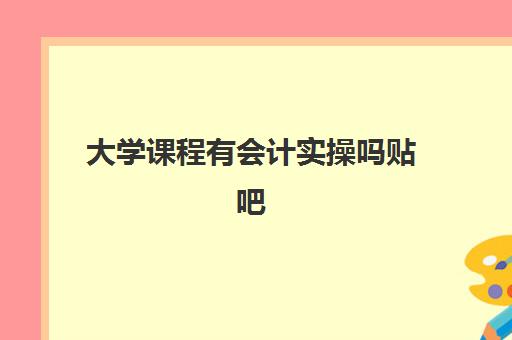 大学课程有会计实操吗贴吧(会计学大四还有课吗)