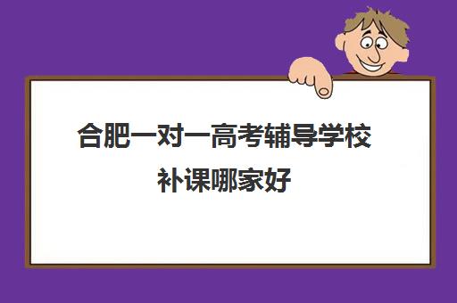 合肥一对一高考辅导学校补课哪家好(合肥一对一上门家教)