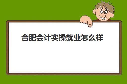 合肥会计实操就业怎么样(合肥财经职业技术学院怎么样)