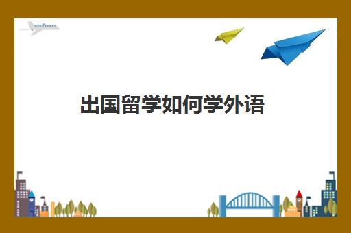 出国留学如何学外语(哪个网站可以教外国人学中文)